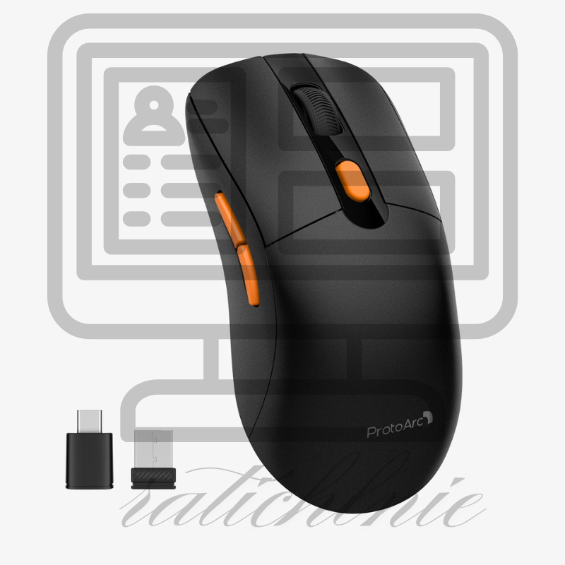 computer mouse